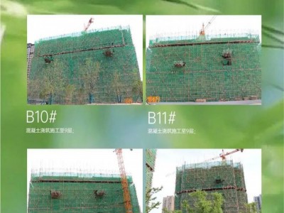 【云峰·中央公園】6月工程進度播報