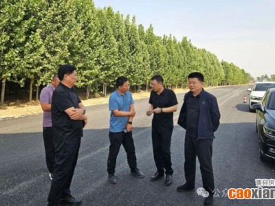 申傳立、李志耀調(diào)度莊青路提升改造工作